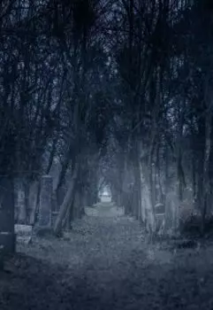 Не ходите ночью в туалет!