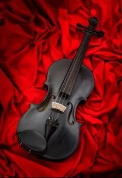 Не поговорили