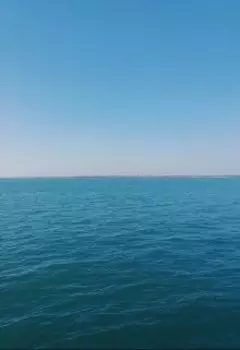 Не просто жизнь