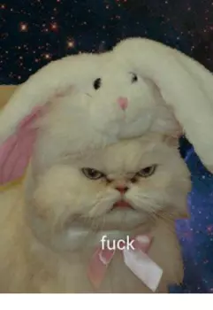 (не)счастливый конец