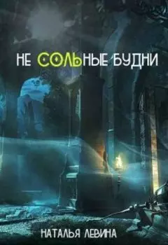 Не Сольные будни