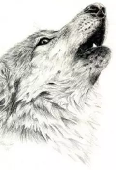 Не тот выход