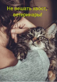 Не вешать хвост, ветеринары!