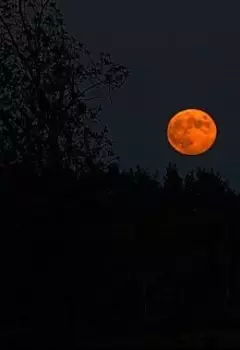 Не все так плохо!