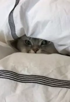 Не все так плохо!