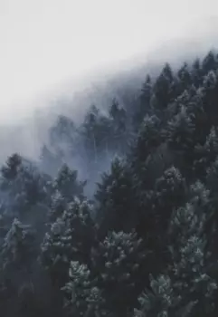 Не все так плохо, как показалась