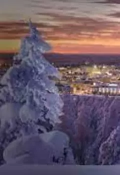 Недетские прятки