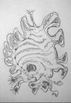 Необходимое предисловие, которое... можно не читать