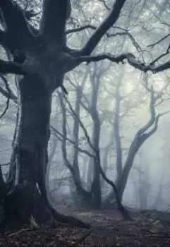 Необычное Попадание В Лондон