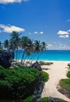 Неожиданный формат общения