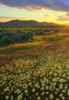 Непридуманные Миры Эбигейл. Мир первый