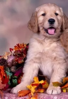 Неприемный день