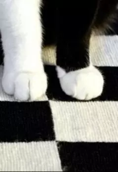 Несколько дней на темной стороне