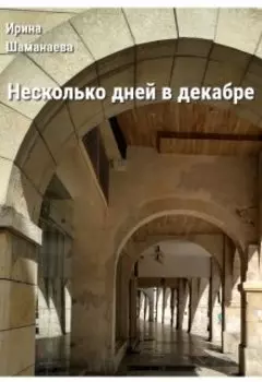 Несколько дней в декабре