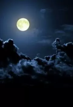 Неудачное свидание