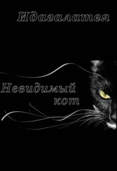 Невидимый кот
