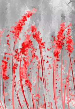 Незнакомцы