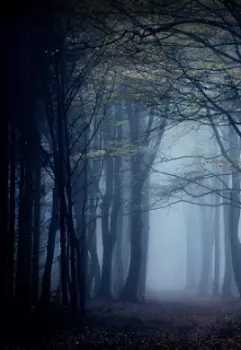 Ночь, которая станет концом