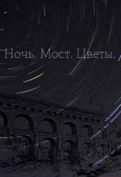 Ночь. Мост. Цветы.
