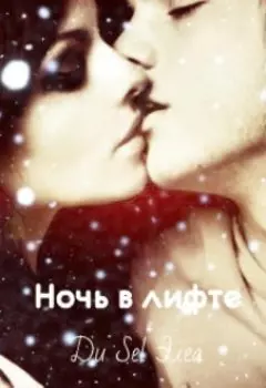 Ночь в лифте, или операция "Святой Валентин"