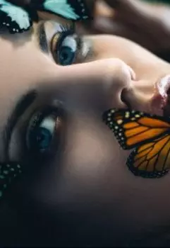 Ночная бабочка, или......