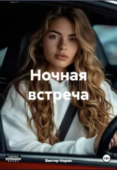 Ночная встреча