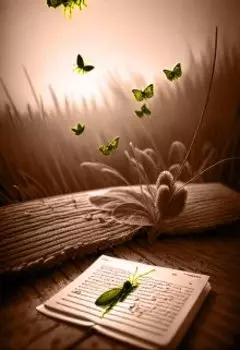 Ночной оркестр