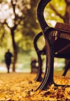 Новая жизнь