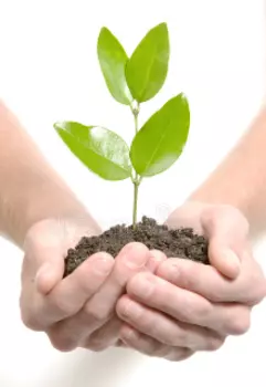 Новая жизнь