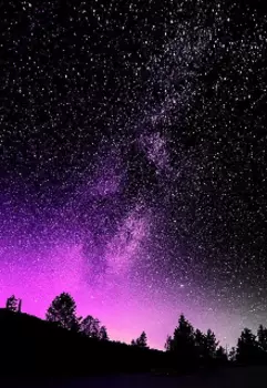 Новая жизнь и новые приключения