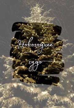 Новогоднее чудо