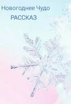 Новогоднее Чудо