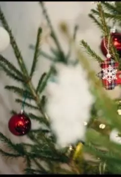 Новогодние воспоминания