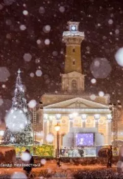 Новогодний переполох