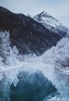 "Новогодняя история или загадывай желания правильно"