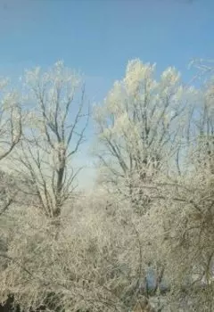 Новогодняя сказка от Мирослава