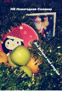 Новогодняя Солянка