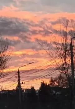 Новый Год без надежд