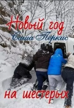 Новый год на шестерых