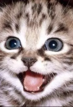 Ну, прямо сказка.