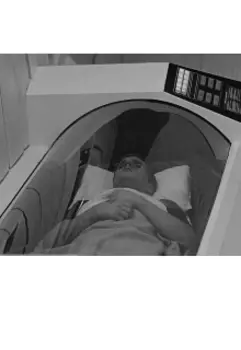 Нулевой симбионт