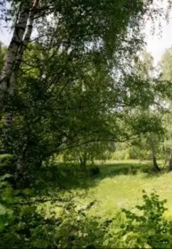 Нужный Ветер