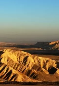 О чем молчит пустыня