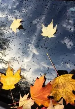 Обращение к словам нереальной причины - умирать