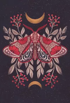 Обратная сторона Луны