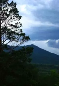 Обратная сторона сказок. Колобок-колобок