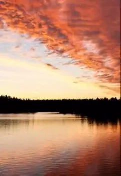 Обреченные любить