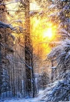 Одинокий снеговик