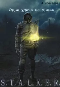 Одна удача на двоих.