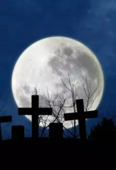 Однажды ночью